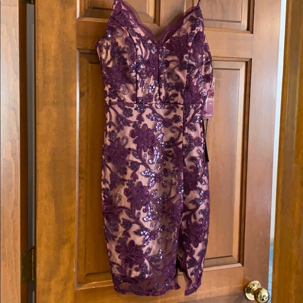 Wine and nude sequins lace dress